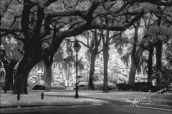 A black and white image of fine art photography of a Square in Savannah, Georgia photographed by Atlanta Fine Art Photographer Karen Images