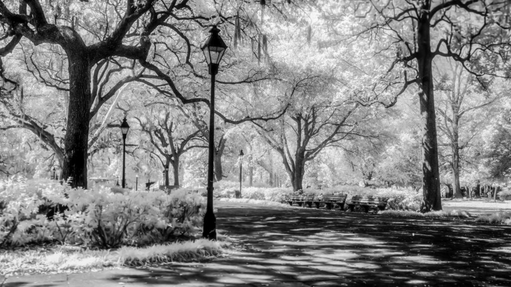 Infrared photograph of Forsyth Park in Savannah created by Karen Images for the Page Pate custom fine art commission